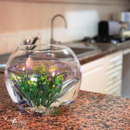 Apartamento Aqua-mar. A 200 Mts Da Praia Do Peneco אלבופיירה